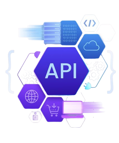 Software Integration & API Development